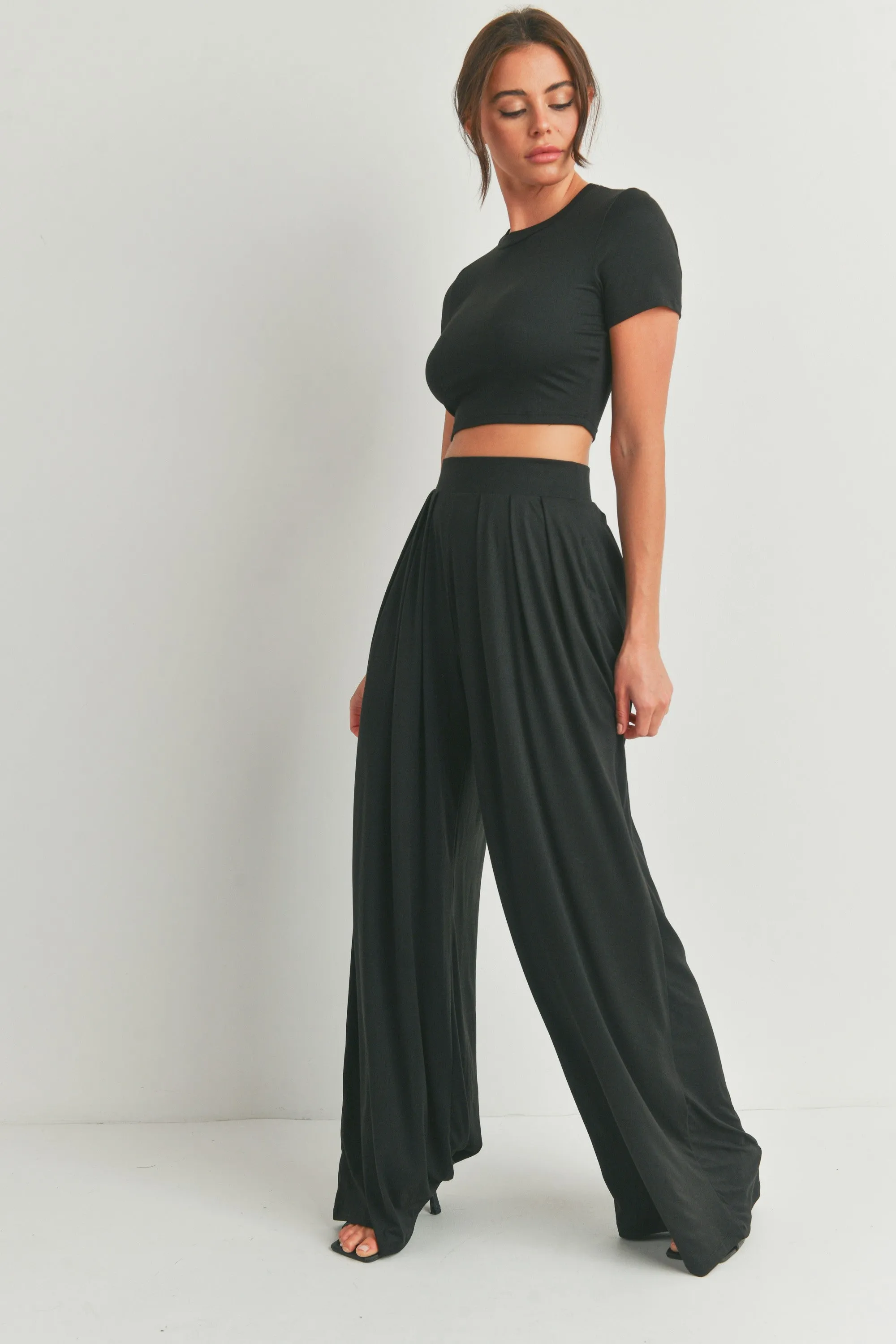 Palazzo Pants and Crop Top Set